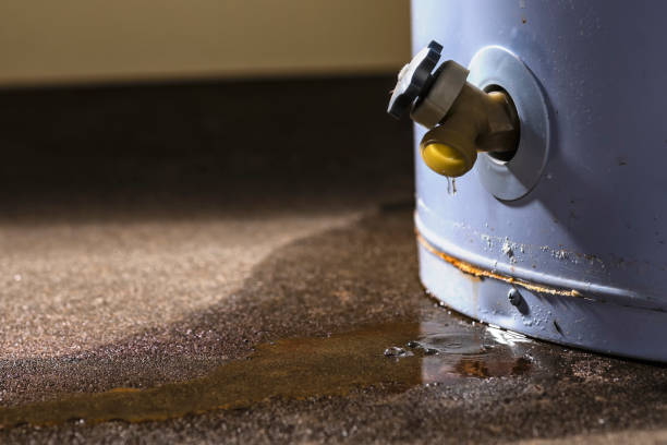 Best Carpet water damage restoration  in Mechanicsburg, PA